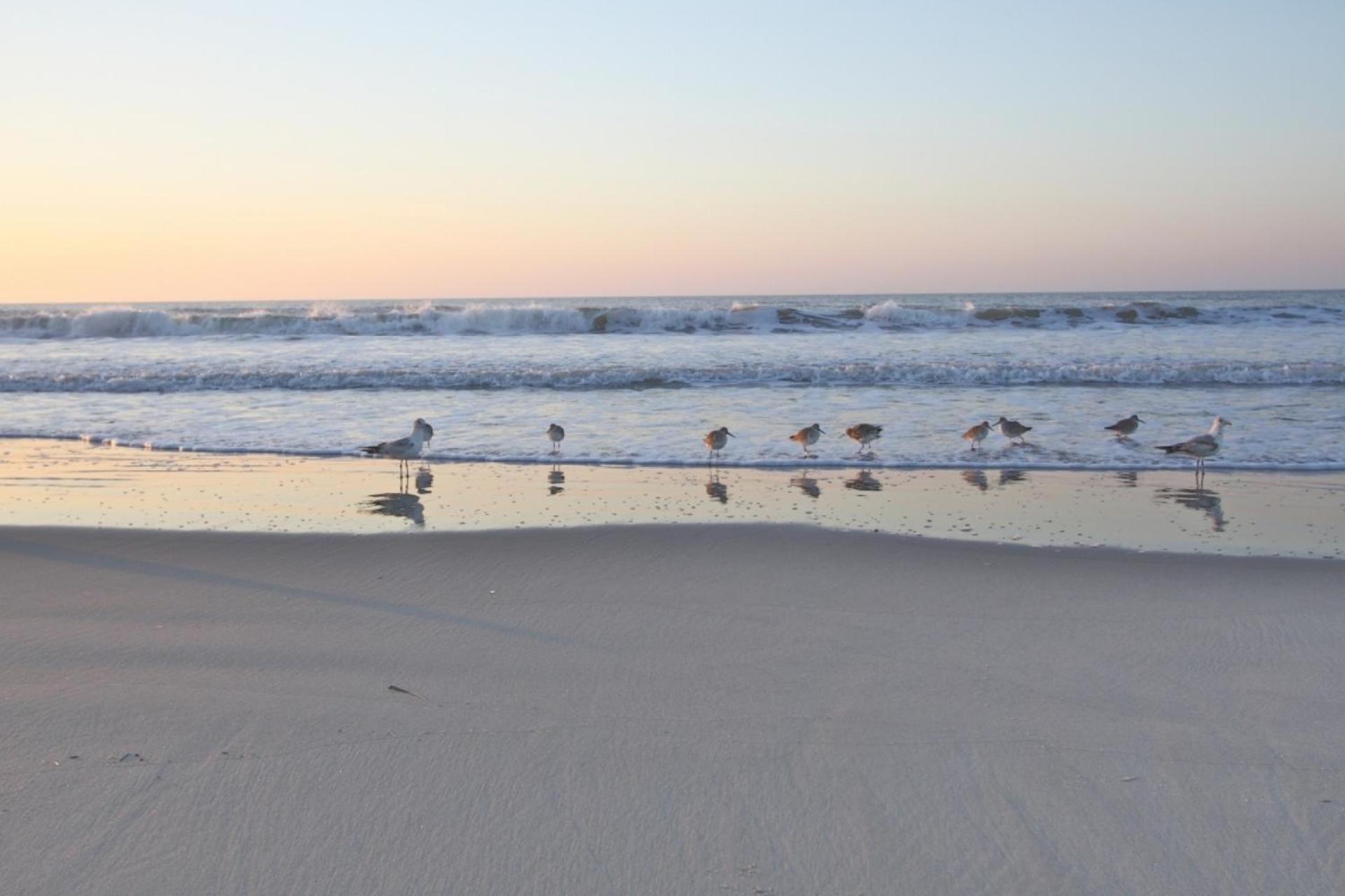 Just Beachy Villa Isle of Palms Dış mekan fotoğraf